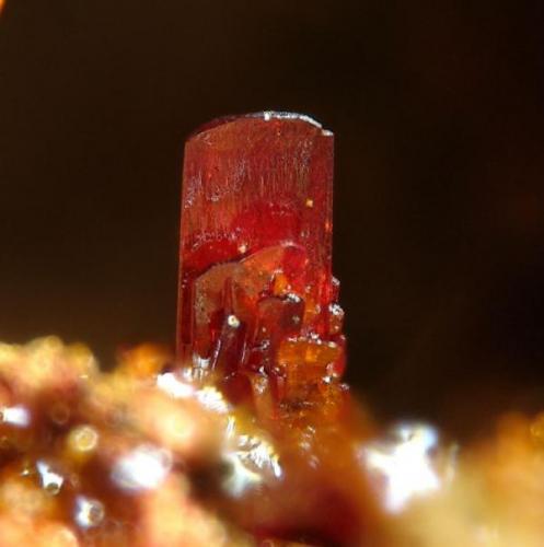 Phoenicochroita, Atacama, Chile 1 mm (Autor: Rewitzer Christian)