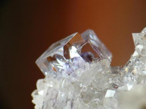Fluorita - Berbes - cristales de 2 mm.jpg (Autor: josminer)
