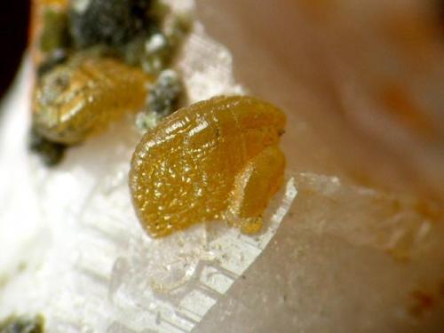 Smithsonita - Cristal de 1 mm.jpg (Autor: josminer)