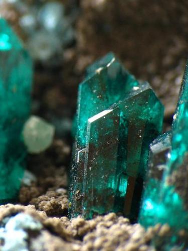 Dioptasa - Namibia - cristal de 4 mm..jpg (Autor: josminer)