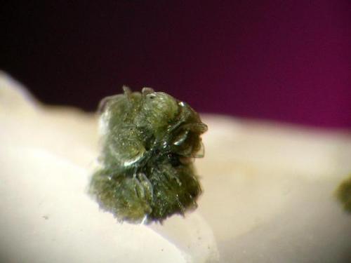 clorita, loma de bas, piña de 1 mm.jpg (Autor: josminer)