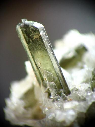 PIROXENO. gilico cristal de 2 mm.jpg (Autor: josminer)