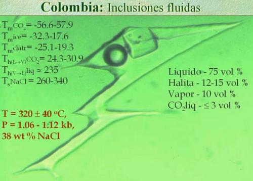 Datos obtenidos en base a la interpretación de micrometría de IF (Autor: Egor Gavrilenko)