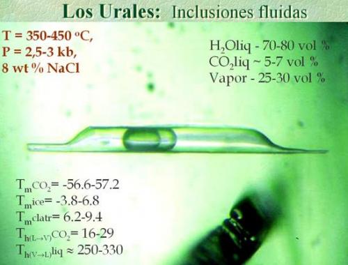 Datos obtenidos en base a la interpretación de micrometría de IF (Autor: Egor Gavrilenko)