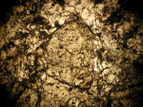 Minerales de yacimiento tipo Skarn en nicoles paralelos. (Autor: Roy Maldonado Nuñez)
