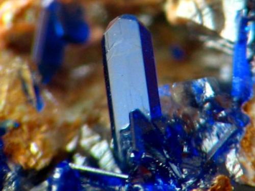 AZURITA. el gorguel, cristal de 1 mm.jpg (Autor: josminer)