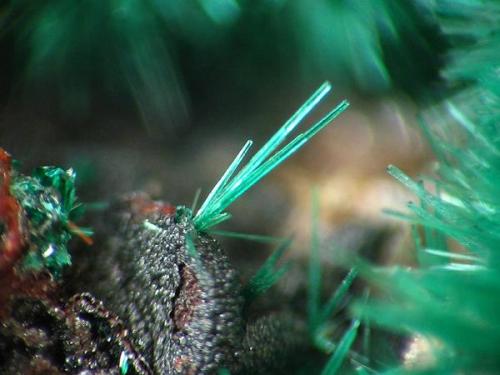 BROCHANTITA cristal de 1 mm.jpg (Autor: josminer)