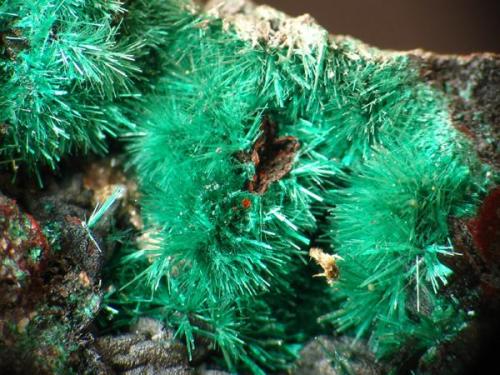 BROCHANTITA  s. almagrera.jpg (Autor: josminer)