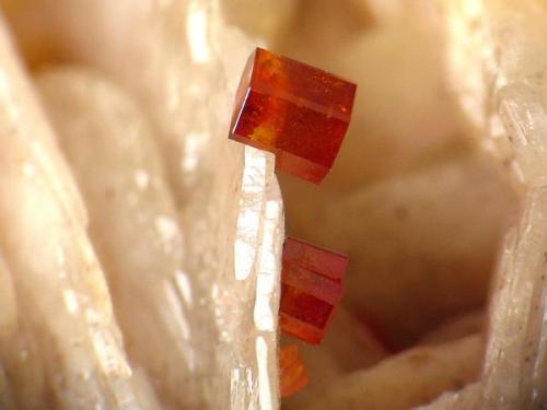 VANADINITA. mibladen, cristal de 2 mm.jpg (Autor: josminer)