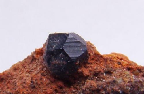 Granate melanito. Burguillos del cerro (lo pillé en la salida del año pasado del foro tuplaneta) Tamaño del cristal 2 mm (Autor: nimfiara)