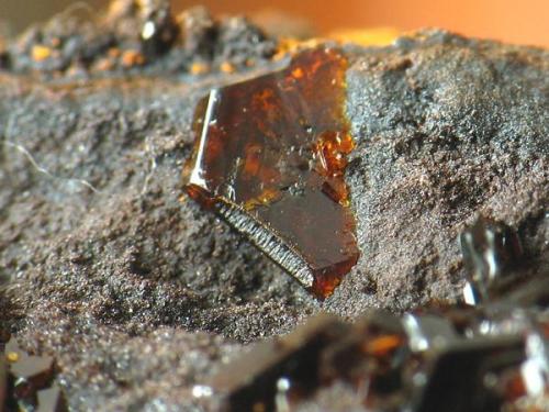 jarosita. el arteal, cristal de 2 mm.jpg (Autor: josminer)
