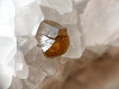 BLENDA. papiol, cristal de 2 mm.jpg (Autor: josminer)