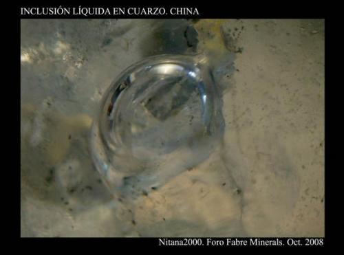 Inclusión líquida en Cuarzo. Tamaño 1 mm aprox. China (Autor: Juan de Laureano)