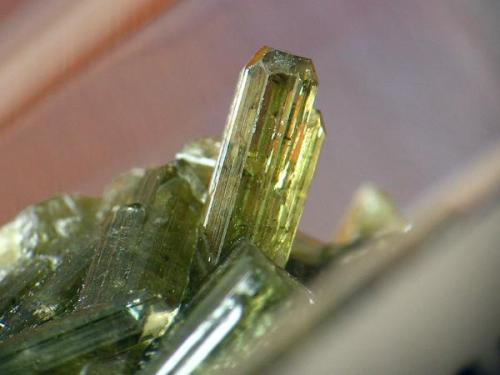 VESUVIANA. aosta, italia. cristal de 3 mm.jpg (Autor: josminer)