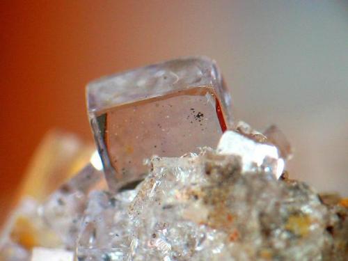 FLUORITA. berbes. cristal de 2 mm.jpg (Autor: josminer)