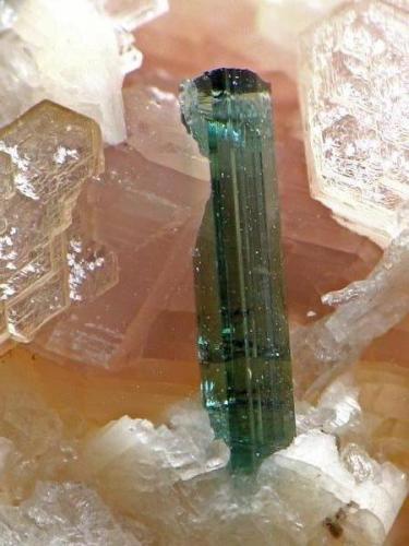 TURMALINA Brasil cristal de 3 mm.jpg (Autor: josminer)