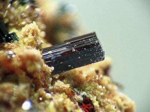PSEUDOBROOKITA. la celia, jumilla, murcia. cristal de 1 mm..jpg (Autor: josminer)