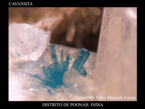 Cavansite.jpg (Autor: Juan de Laureano)