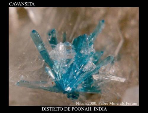 Cavansite2.jpg (Autor: Juan de Laureano)