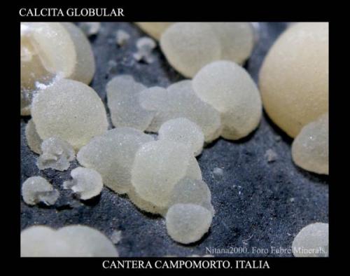 Calcita Globular.jpg (Autor: Juan de Laureano)