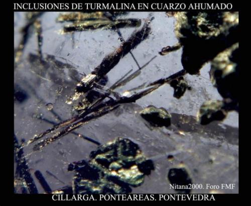 Turmalina cuarzo 2.jpg (Autor: Juan de Laureano)