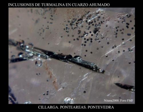 Turmalina cuarzo.jpg (Autor: Juan de Laureano)