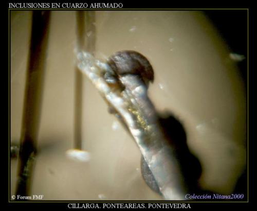 Inclusiones cuarzo ahumado2.jpg (Autor: Juan de Laureano)