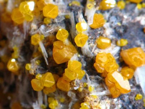 Wulfenita<br /><br /><br /> (Autor: josminer)