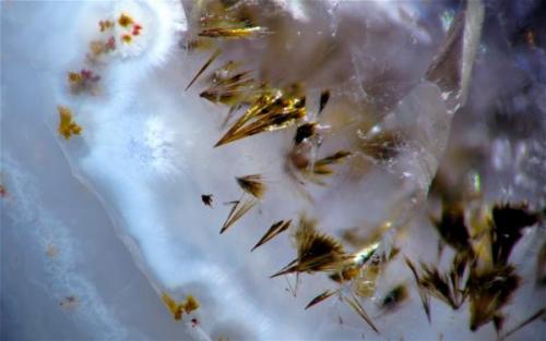 "Abanicos" de Goethita. Los cristales se encuentran englobados en el agata de una geoda de Amatista, pueden observarse debido a la pulitura de la superficie del corte de la geoda.
Campo de Vision = 5,3 mm (Autor: Vinoterapia)