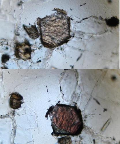 La foto muestra una seccion basal de un cristal de anfibol, notese la exfoliación en forma de rombo, cuyo pleocroismo oscila entre el pardo amarillento (zona superior) al  marron rojizo (zona inferior). Debo decir que al tratar de identificar este mineral y revisando la informacion concerniente a anfiboles (Nesse, 2004) me incline por la kaersutita, ya que el pleocroismo reportado por dicho autor se corresponde con el mostrado en la foto, mientras que para la richterita se mencionan el amarillo, verde palido, naranja, tonos de rojo y hasta violeta o azul.
Dado que los estudios petrográficos en la zona (Cancarix, La Celia) mencionan la presencia de richterita y no de kaersutita habría que descartar a este último (o realizar nuevos análisis). (Autor: Vinoterapia)