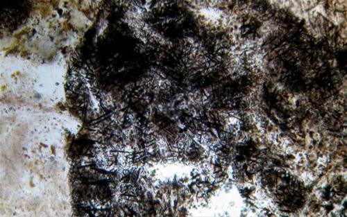 La muestra de esta foto proviene del Cabezo de La Rosa, la roca es de color marrón oscuro y es atraida por el imán, razón por la cual créo que los pequeños cristales alargados de la foto corresponden a magnetita. (Autor: Vinoterapia)