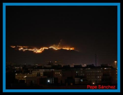 Procesada con Helicon Focus. Método A, Radio 20, Suavizado 4. Estos parámetros aparecen en al título de la foto. (Autor: Pepe Sánchez)