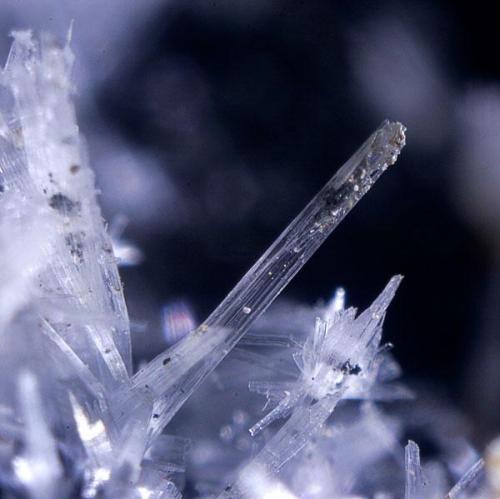 Un cristalito de 2,5mm de yeso recogido en Gavá, fotografiado con el chirimbolo... (Autor: soldevilla)