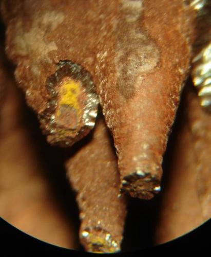Estalactitas (0,8cm) de hematita/ goethita. Morro das Balas, Formiga, Minas Gerais- Brasil (Autor: Anisio Claudio)