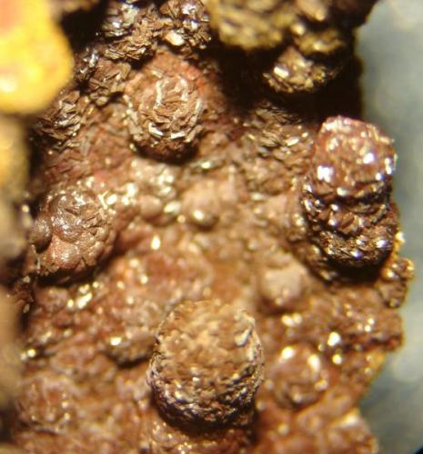 Esferas de siderite(1,5 mm) en crosta ferruginosa. Morro das Balas, Formiga, Minas Gerais- Brasil (Autor: Anisio Claudio)