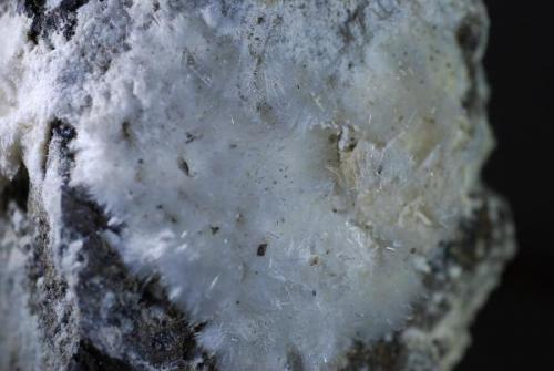 Detalle de una cara de 5*5 cm de mineralización (Autor: Jose Bello)