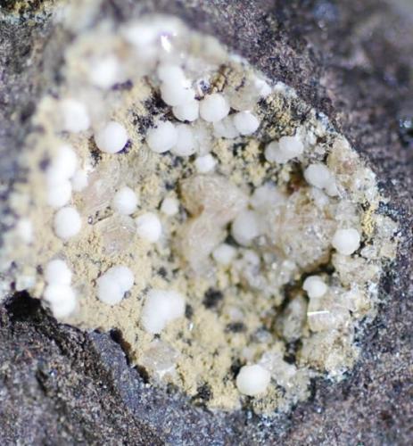 cuatro minerales: Bolitas calcita, 
negro, todoroquita?
transparentes, philipsita?
pelusilla, natrolita?
Geoda : 15 mm diametro (Autor: Jose Bello)