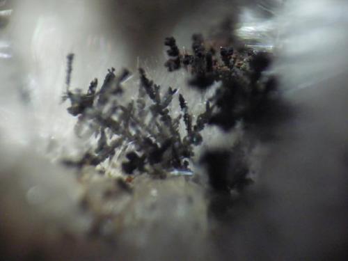 Seguramente un mineral de Manganeso, probablemente Todorokita. Ancho de la foto: 5 mm (Autor: Pepe Ruano)