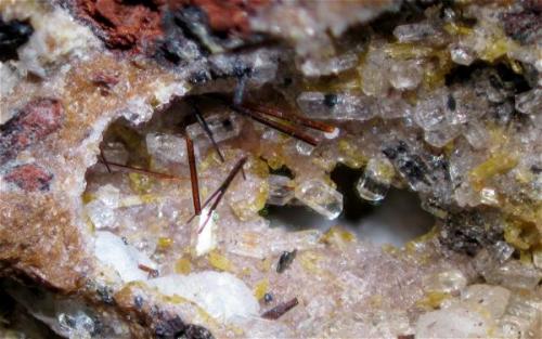 Cristales rojo anaranjados en forma de prismas alargados con facetas lisas y brillantes, son frecuentes las maclas (nótese el cristal inferior).
Campo visual aproximado 3 mm. (Autor: Vinoterapia)