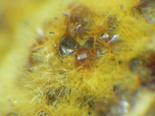 Cristales de analcima entre mesolita amarilla. Milimétrico. (Autor: Pepe Ruano)