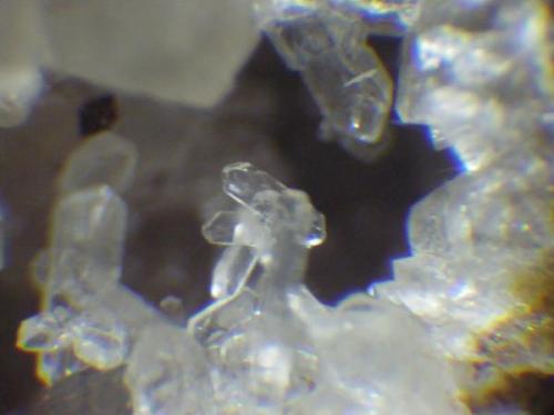Más cristales. Largo del cristal (grupo del centro) unos 2 mm. (Autor: Pepe Ruano)