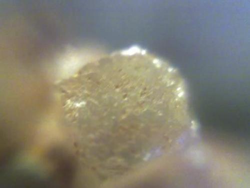 Este cristal de Aragonito solo mide 2 x 2mm (Autor: Leonardo S. Zaccolo)