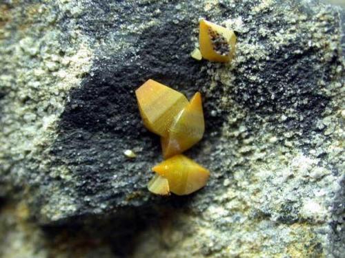 Wulfenita
Cortijo del Humo, Albuñelas, Granada, Andalucía, España.
Encuadre 2cm
1999 (Autor: Carlos Pareja)