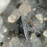 Freibergita con pequeños cristales de pirargirita. Entorno de Santa Cecilia, Hiendelaencina. 50x. (Autor: Cesar M. Salvan)