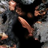 Cobre nativo - El Horcajo, Ciudad Real.
Tamaño de imagen: 1.6 mm (Autor: Rewitzer Christian)