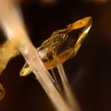 Laueita de Hagendorf, Waidhaus, Vohenstrauß, Oberpfälzer Wald, Bavaria, Alemania.
Tamaño de imagen: 1.2 mm (Autor: Rewitzer Christian)