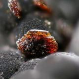 Lotharmeyerita, Mina Ojuela, México  0.5 mm (Autor: Rewitzer Christian)