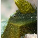 Clinozoisita. Cristal de 1,5  mm sobre augita. Cantera Los Arenales, Monte La Rocha, Torás, Castellón. (Autor: Rafa Muñoz(mineralvarado))