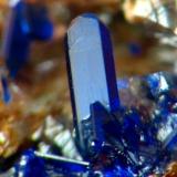 AZURITA. el gorguel, cristal de 1 mm.jpg (Autor: josminer)