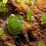 Emmonsita - Mina Bambolla, Moctezuma, México. 2 mm. (Autor: Rewitzer Christian)
